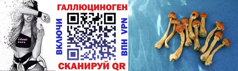 закладка Красновишерск Псилоцибиновые грибы мицелий