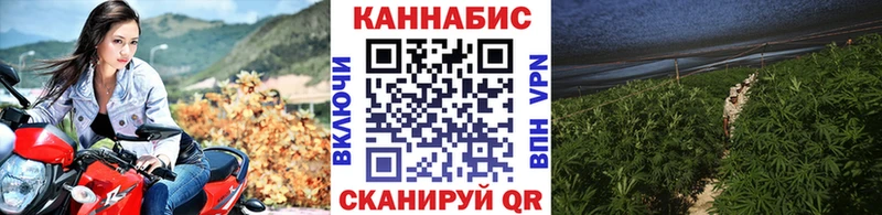блэк спрут зеркало  Красновишерск  Каннабис гибрид  закладки 